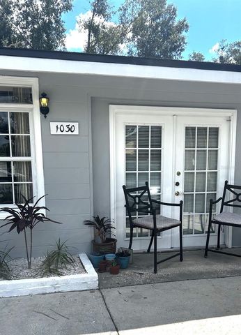 1030 E 4TH AVENUE, Mount Dora, FL 32757