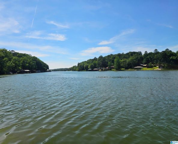 793 SHELTON SHORES DRIVE, Talladega, AL 35160