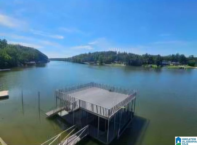 793 SHELTON SHORES DRIVE, Talladega, AL 35160