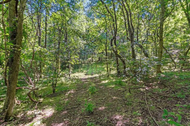 402 Cortner Hollow Rd, Petersburg, TN 37144