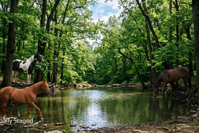 402 Cortner Hollow Rd, Petersburg, TN 37144