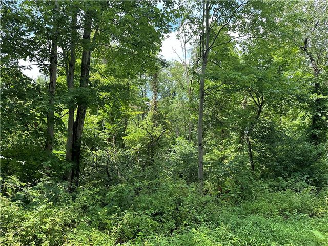0 Mustard Lane, Springhill Twp, PA 15451