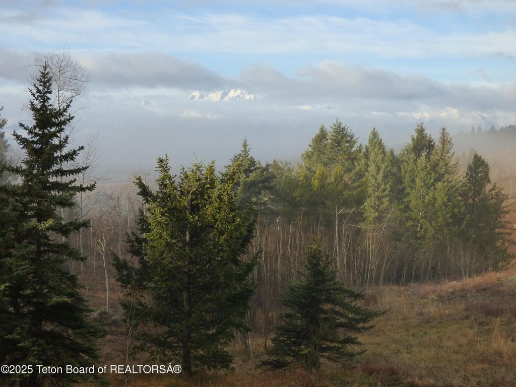15180 E TETON WILDERNESS Drive, Moran, WY 83013 photo 145