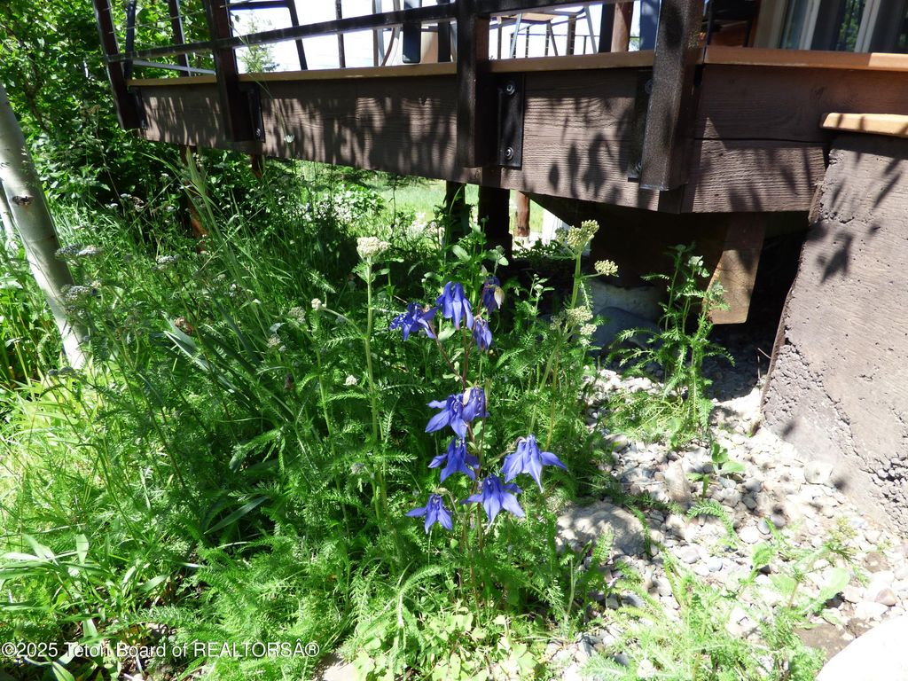 15180 E TETON WILDERNESS Drive, Moran, WY 83013 photo 24