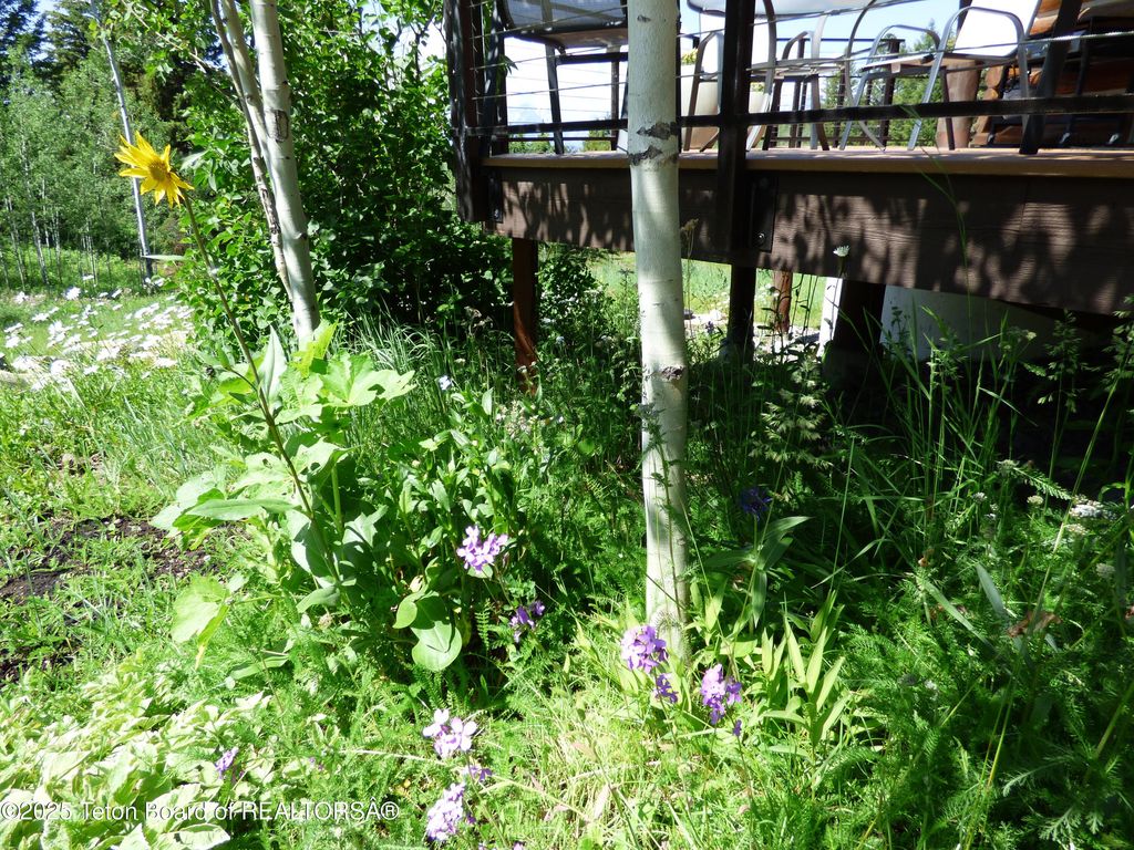 15180 E TETON WILDERNESS Drive, Moran, WY 83013 photo 25