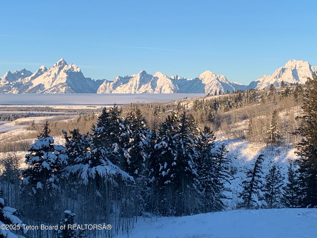 15180 E TETON WILDERNESS Drive, Moran, WY 83013 photo 3