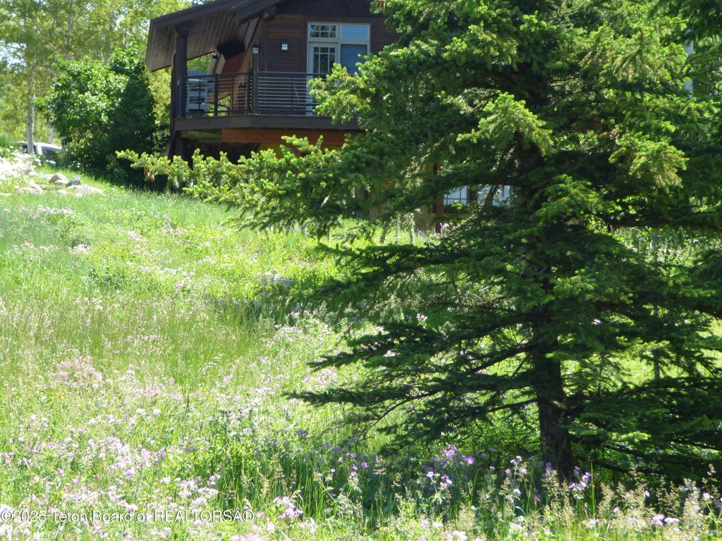 15180 E TETON WILDERNESS Drive, Moran, WY 83013 photo 30