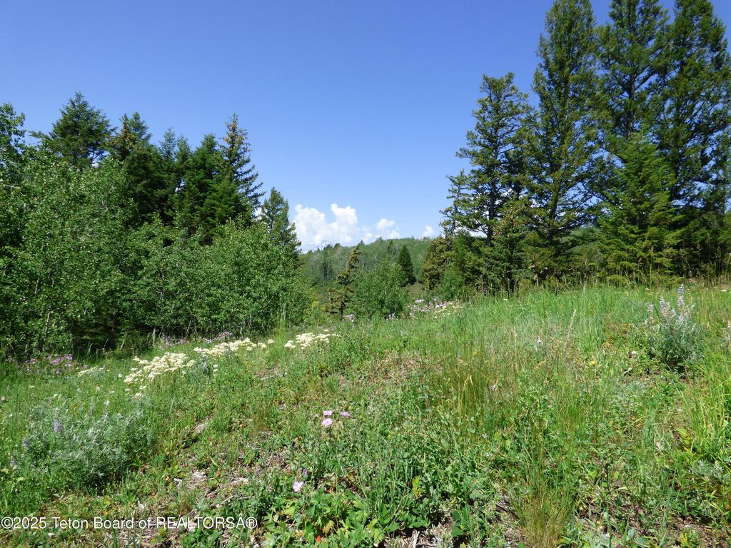 15180 E TETON WILDERNESS Drive, Moran, WY 83013 photo 32