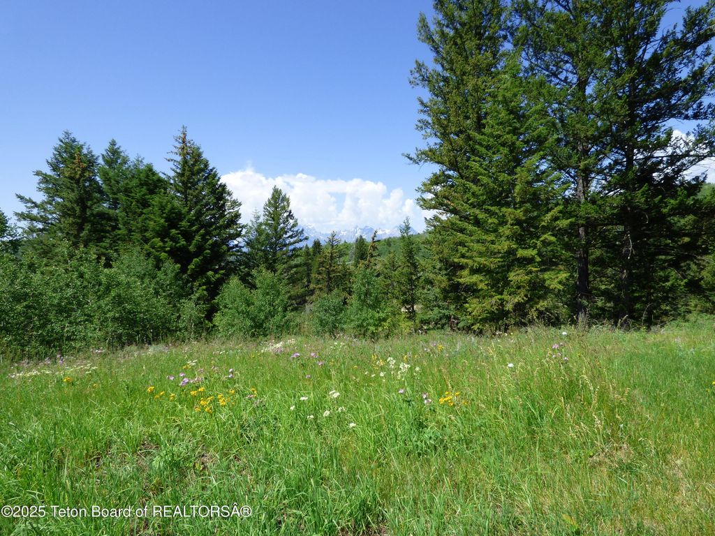15180 E TETON WILDERNESS Drive, Moran, WY 83013 photo 33