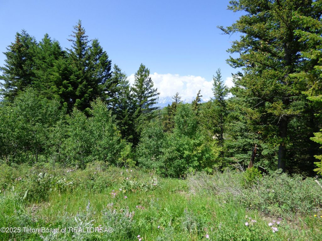 15180 E TETON WILDERNESS Drive, Moran, WY 83013 photo 37