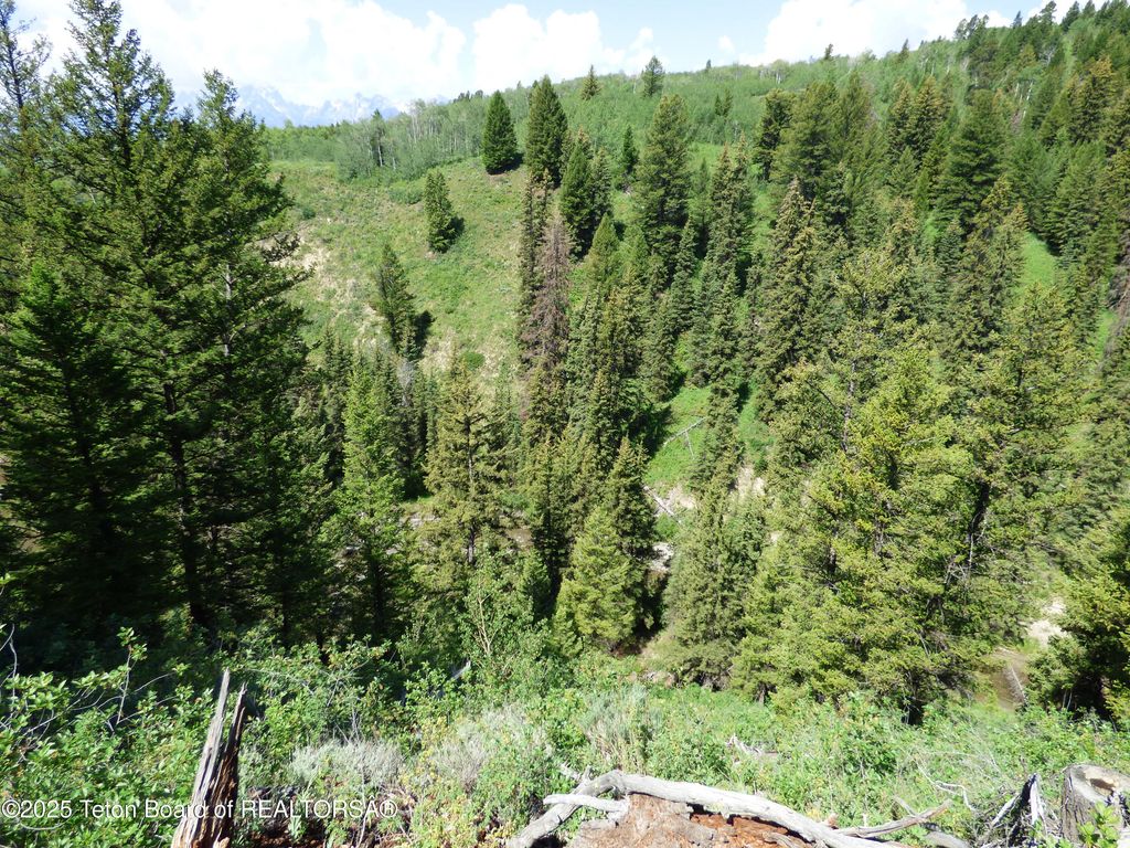 15180 E TETON WILDERNESS Drive, Moran, WY 83013 photo 38