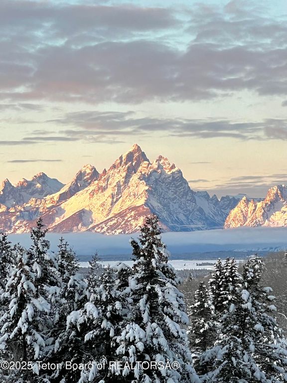 15180 E TETON WILDERNESS Drive, Moran, WY 83013 photo 4