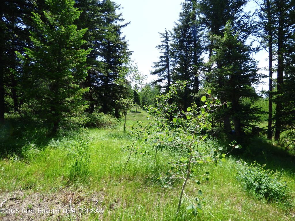 15180 E TETON WILDERNESS Drive, Moran, WY 83013 photo 40