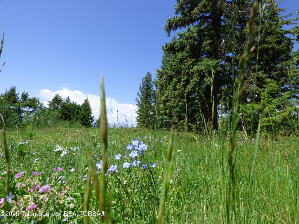 15180 E TETON WILDERNESS Drive, Moran, WY 83013 photo 44