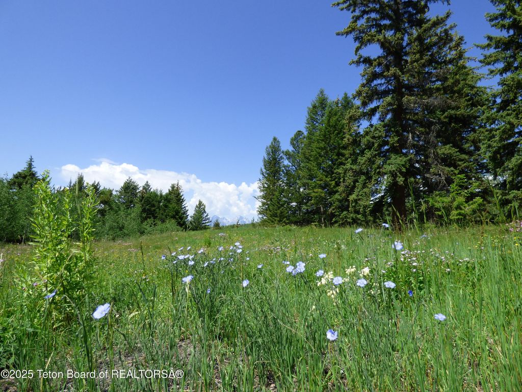 15180 E TETON WILDERNESS Drive, Moran, WY 83013 photo 47