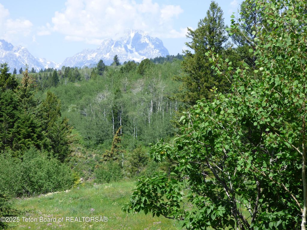 15180 E TETON WILDERNESS Drive, Moran, WY 83013 photo 9