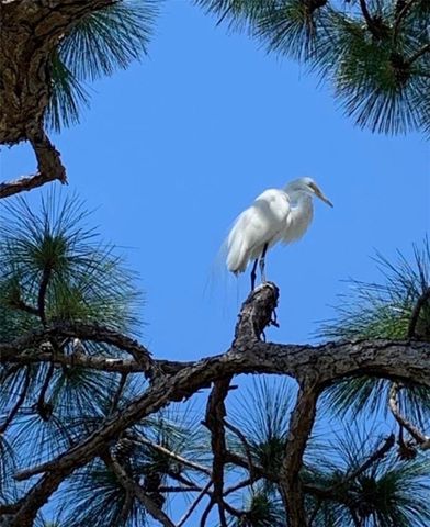 4925 PEPPERWOOD PLACE, Venice, FL 34293