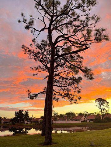 4925 PEPPERWOOD PLACE, Venice, FL 34293