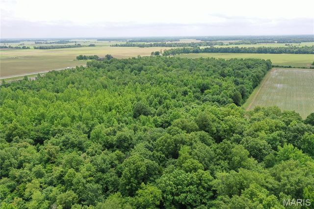 67 County Road 352, Neelyville, MO 63954