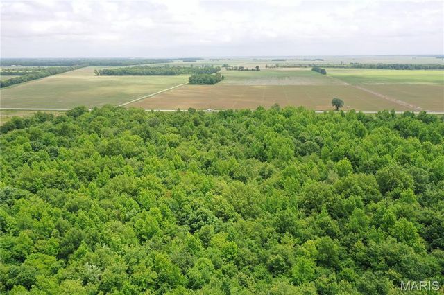 67 County Road 352, Neelyville, MO 63954