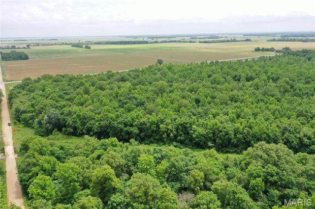 67 County Road 352, Neelyville, MO 63954