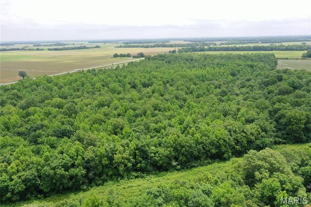 67 County Road 352, Neelyville, MO 63954