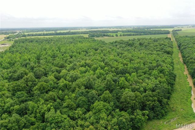 67 County Road 352, Neelyville, MO 63954