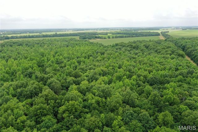 67 County Road 352, Neelyville, MO 63954