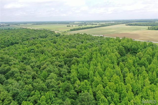 67 County Road 352, Neelyville, MO 63954