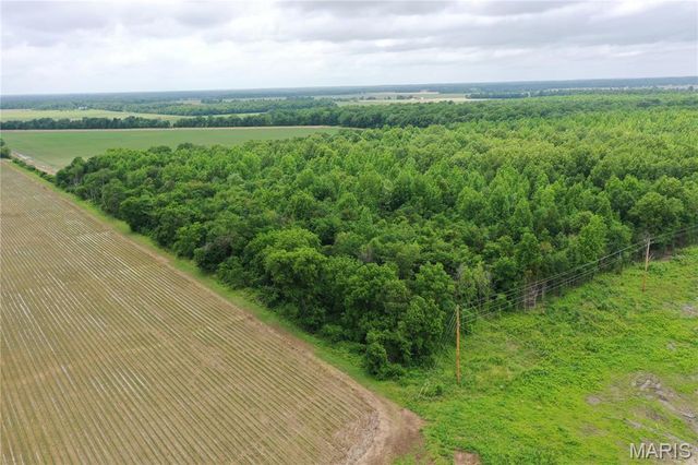 67 County Road 352, Neelyville, MO 63954