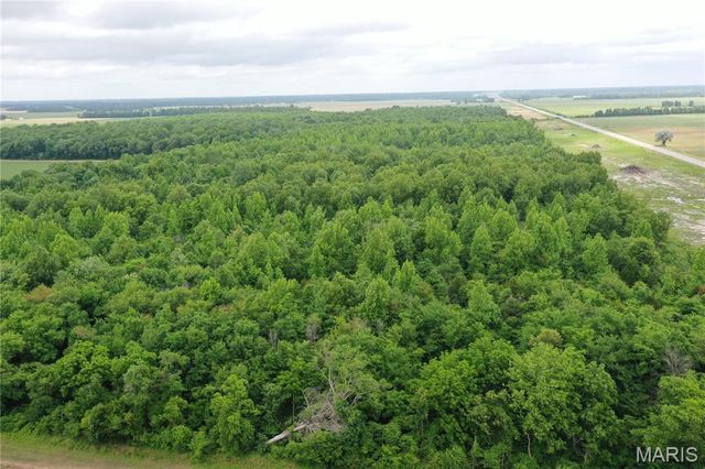 67 County Road 352, Neelyville, MO 63954