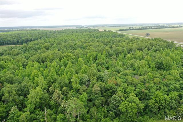 67 County Road 352, Neelyville, MO 63954