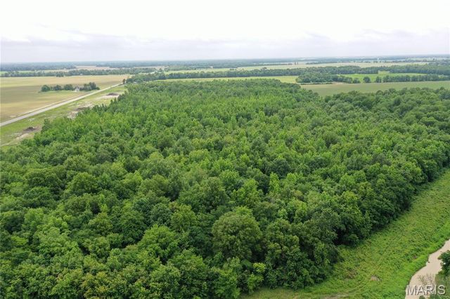 67 County Road 352, Neelyville, MO 63954