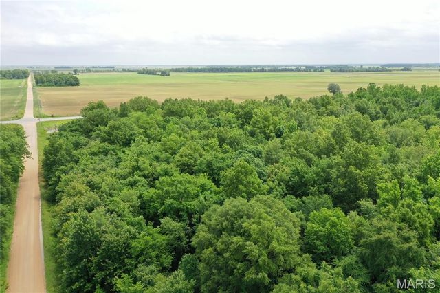 67 County Road 352, Neelyville, MO 63954