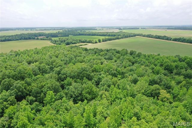 67 County Road 352, Neelyville, MO 63954