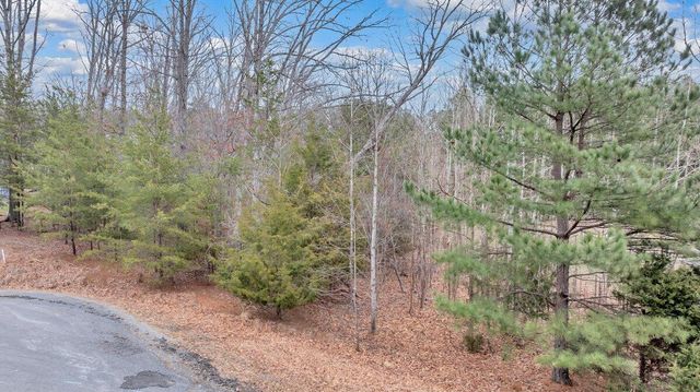 Lot 21 Sunview CIR, Moneta, VA 24121