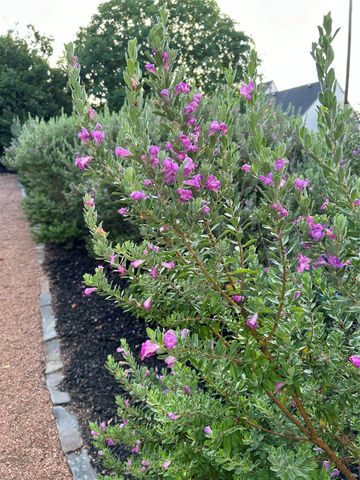 1606 Treehouse Lane N, Keller, TX 76262