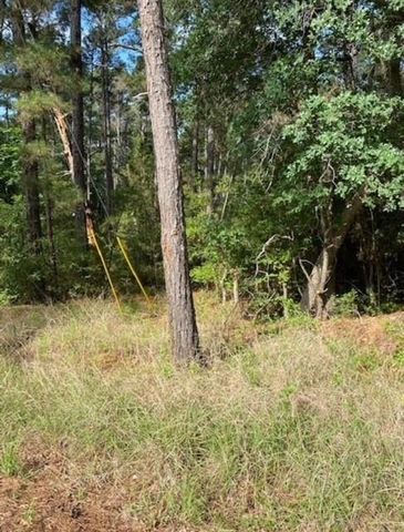 Lot 93 Papawai DR, Bastrop, TX 78602