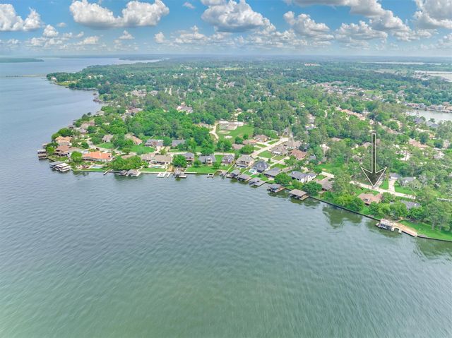 12022 Sagittarius Drive E, Willis, TX 77318