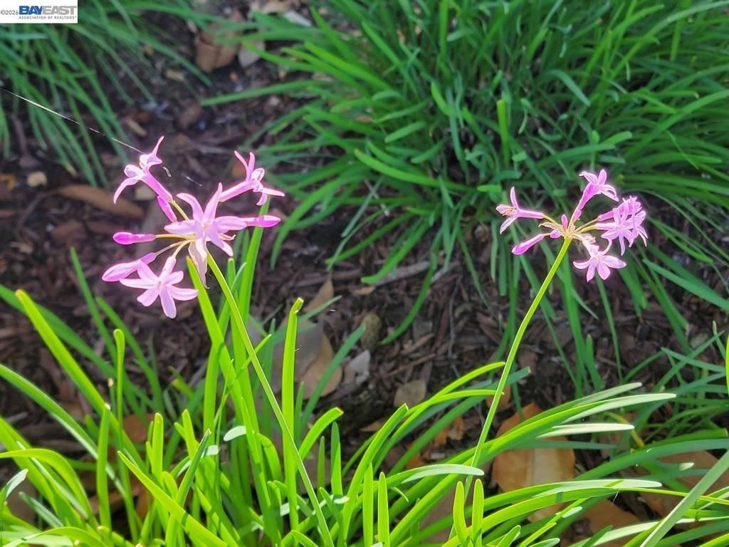 Image 46 of property listing at 690 kraftile Ct., Fremont, CA 94536