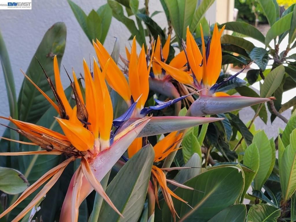 Image 47 of property listing at 690 kraftile Ct., Fremont, CA 94536