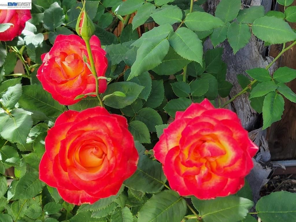 Image 48 of property listing at 690 kraftile Ct., Fremont, CA 94536