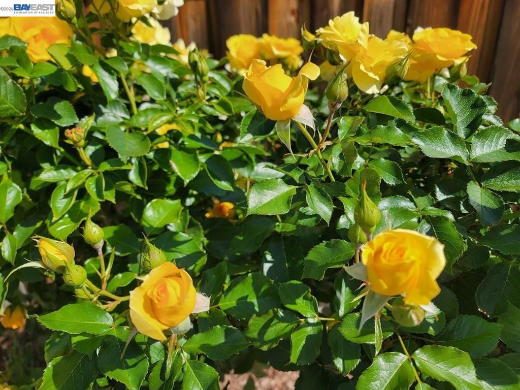 Image 49 of property listing at 690 kraftile Ct., Fremont, CA 94536