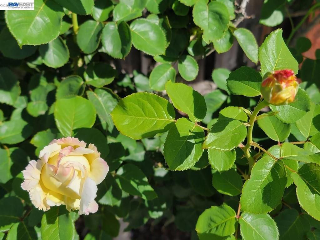 Image 50 of property listing at 690 kraftile Ct., Fremont, CA 94536