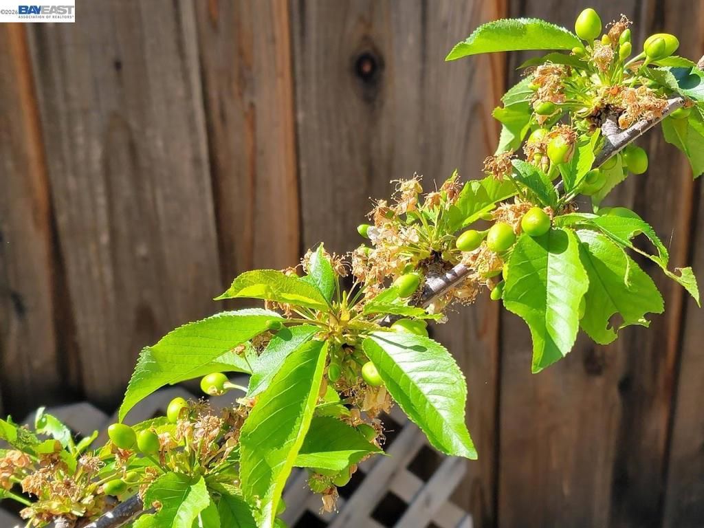 Image 51 of property listing at 690 kraftile Ct., Fremont, CA 94536