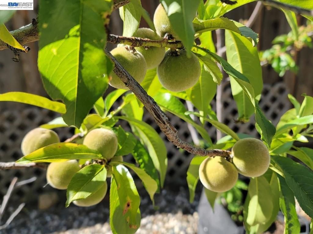 Image 52 of property listing at 690 kraftile Ct., Fremont, CA 94536