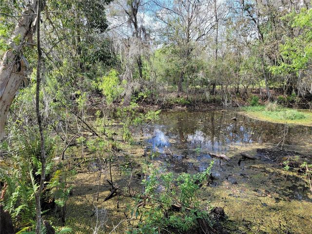 TBD BELL LAKE ROAD, Land O Lakes, FL 34639