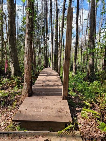 TBD BELL LAKE ROAD, Land O Lakes, FL 34639
