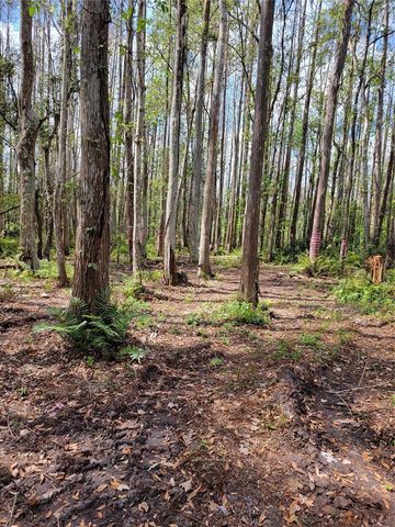 TBD BELL LAKE ROAD, Land O Lakes, FL 34639