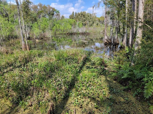TBD BELL LAKE ROAD, Land O Lakes, FL 34639
